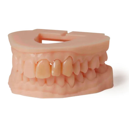 Model Resin V3
